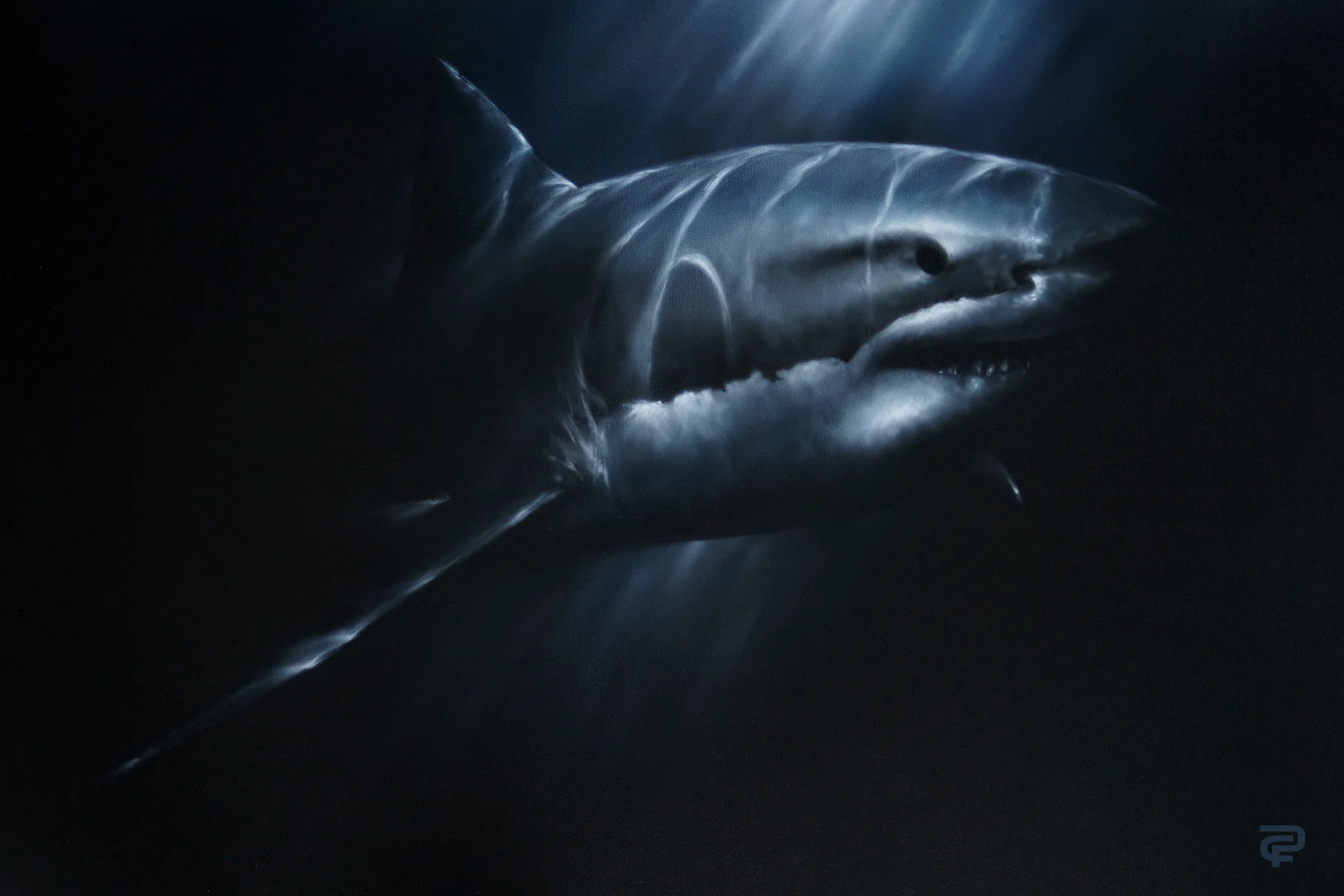Great White original painting by Mike Pfeiffer